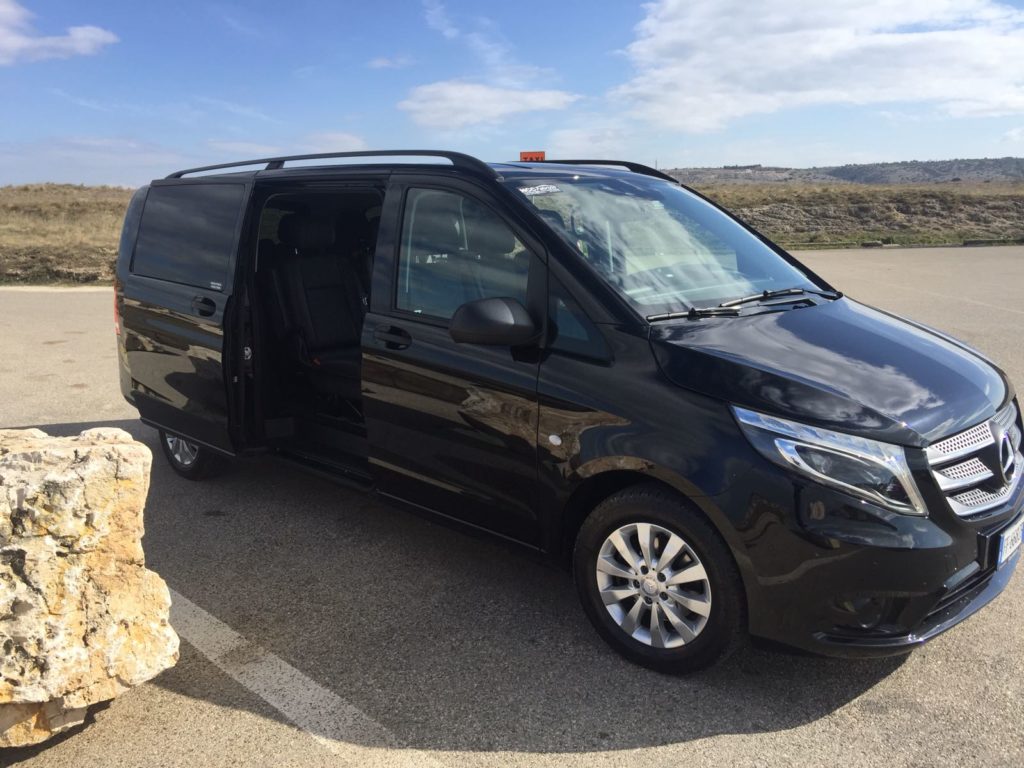 Noleggio con conducente minivan 8 posti